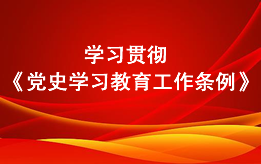 學(xué)習(xí)貫徹《黨史學(xué)習(xí)教育工作條例》